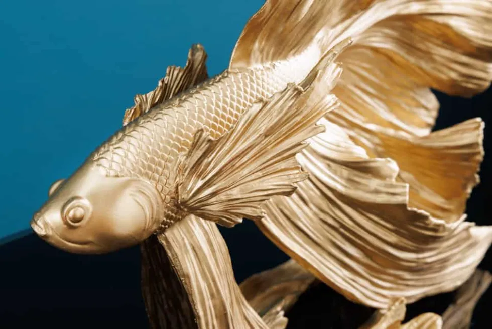 Design Deko Figur Kampffisch CROWNTAIL 35cm gold Betta Fisch Skulptur