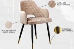 Design Stuhl PARIS greige Samt mit Armlehnen Ziersteppung goldene Fußkappen
