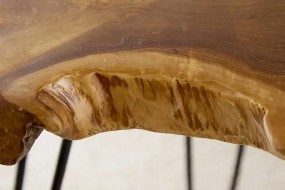 Einzigartiger Beistelltisch WILD 50cm Teak Massivholz Baumscheibe Metallbeine schwarz