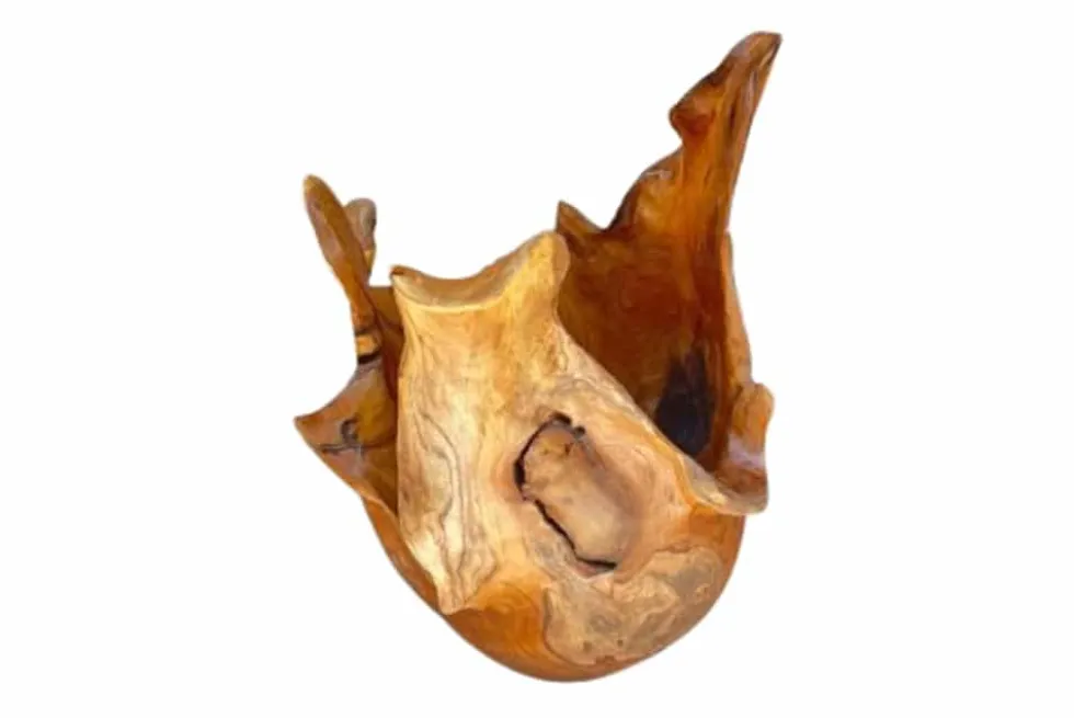 Einzigartige Schale ORGANIC 40cm natur Teak aus Wurzelholz