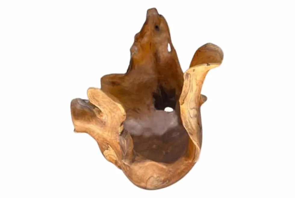Einzigartige Schale ORGANIC 40cm natur Teak aus Wurzelholz