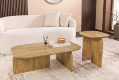 2er Set Couchtische GATSBY 100cm braun Mangoholz organische Form Beistelltisch