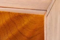 Massiver Nachttisch SCORPION 50cm braun Mangoholz Beistelltisch mit 3D Schnitzereien