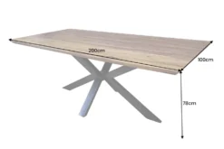 Massivholz Esstisch GALAXIE 200cm braun Sheesham stone finish Industrial Design
