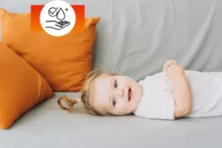 Polsterschutzmittel OA SOFA PROTECTOR 250 ml PFC und VOC frei für Sofa Matratze