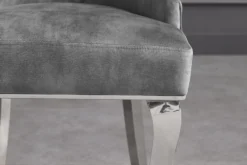 Stuhl MODERN BAROCK DELUXE grau Samt silber Edelstahlbeine mit Löwenkopf