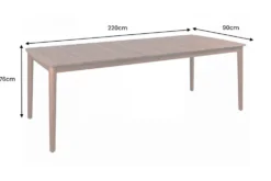 Wetterfester Gartentisch KOPENHAGEN 220cm braun Akazie honey finish Massivholz Outdoor